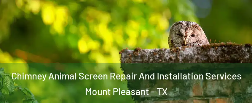  Chimney Animal Screen Repair And Installation Services Mount Pleasant - TX