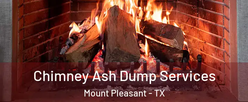  Chimney Ash Dump Services Mount Pleasant - TX
