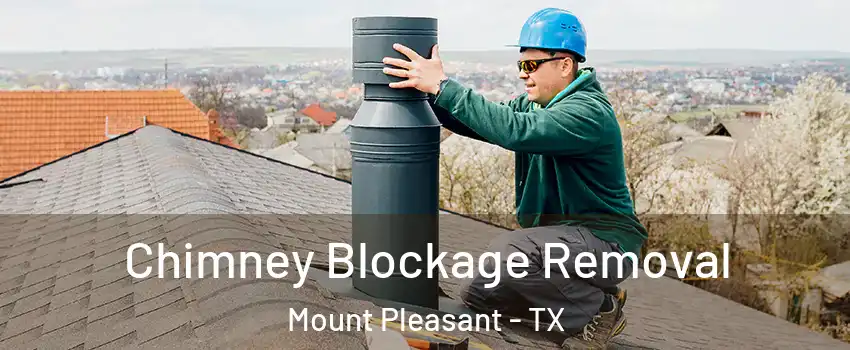  Chimney Blockage Removal Mount Pleasant - TX