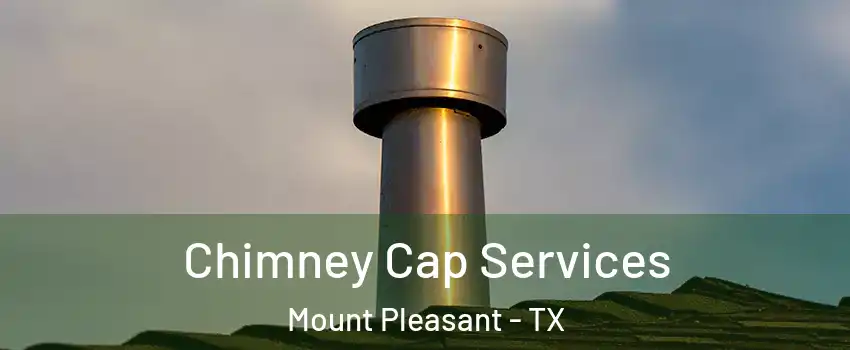  Chimney Cap Services Mount Pleasant - TX