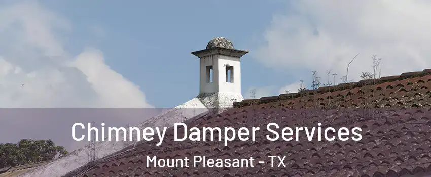  Chimney Damper Services Mount Pleasant - TX