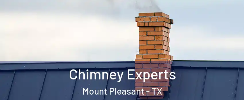 Chimney Experts Mount Pleasant - TX