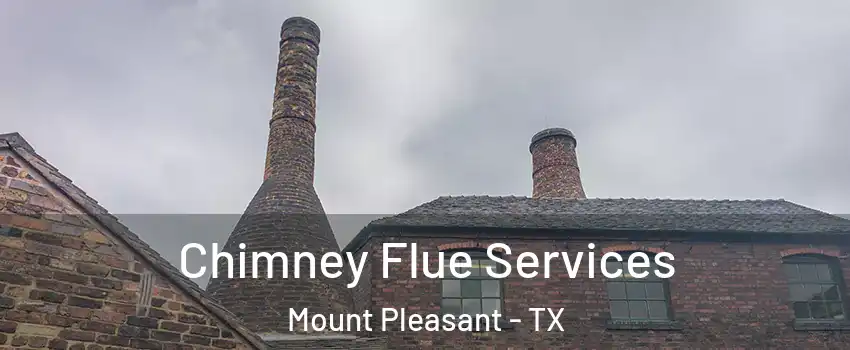  Chimney Flue Services Mount Pleasant - TX
