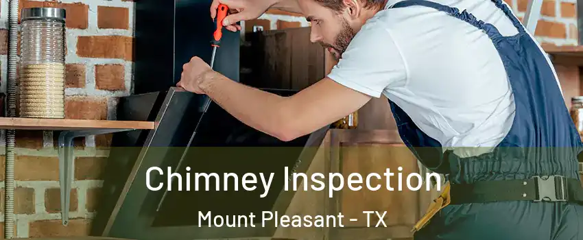  Chimney Inspection Mount Pleasant - TX