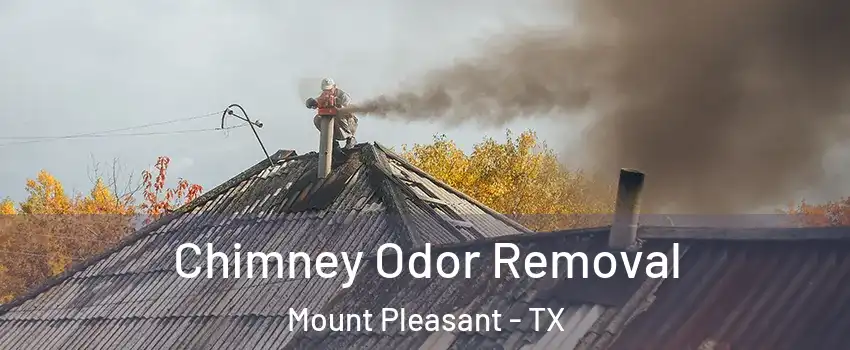  Chimney Odor Removal Mount Pleasant - TX
