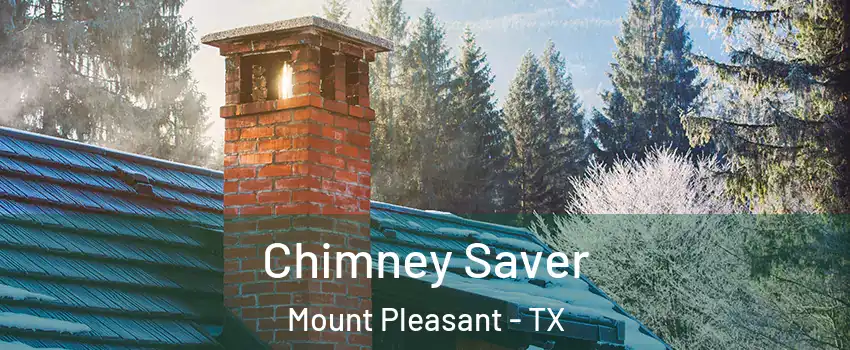  Chimney Saver Mount Pleasant - TX
