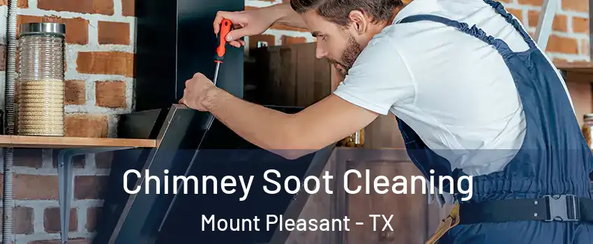  Chimney Soot Cleaning Mount Pleasant - TX