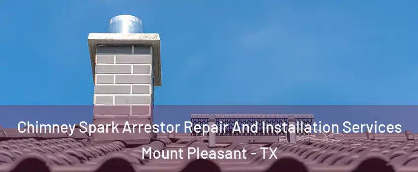  Chimney Spark Arrestor Repair And Installation Services Mount Pleasant - TX