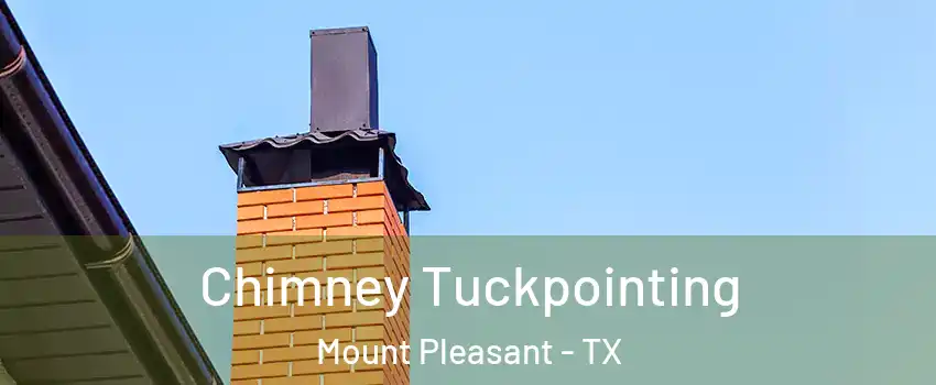  Chimney Tuckpointing Mount Pleasant - TX