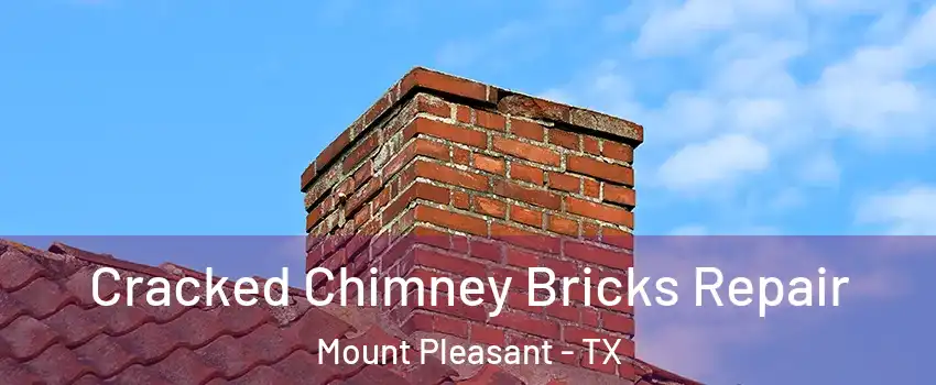  Cracked Chimney Bricks Repair Mount Pleasant - TX
