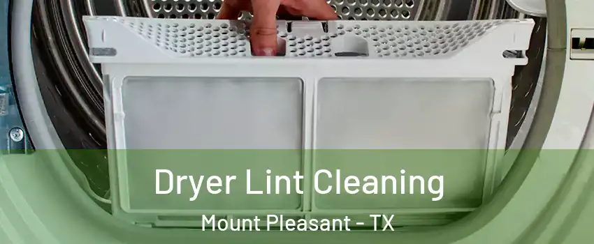  Dryer Lint Cleaning Mount Pleasant - TX