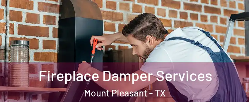  Fireplace Damper Services Mount Pleasant - TX