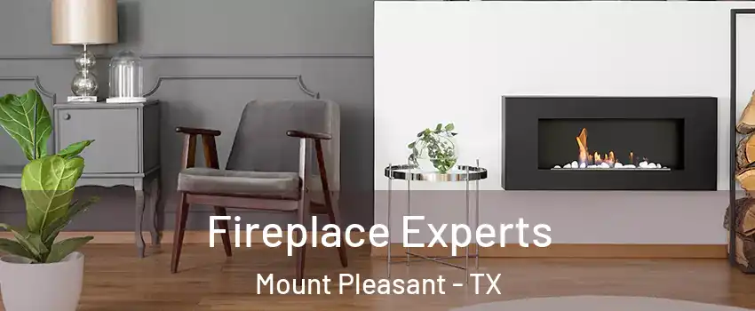  Fireplace Experts Mount Pleasant - TX