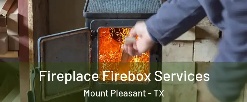  Fireplace Firebox Services Mount Pleasant - TX