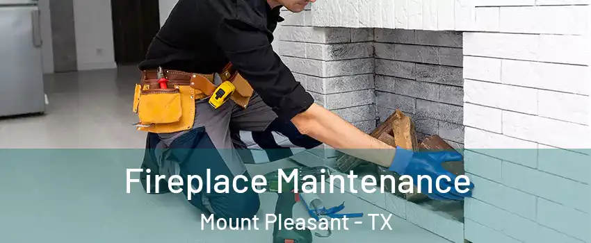  Fireplace Maintenance Mount Pleasant - TX