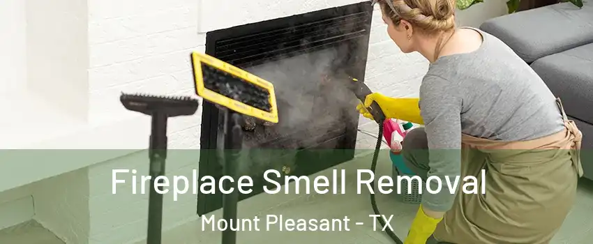  Fireplace Smell Removal Mount Pleasant - TX