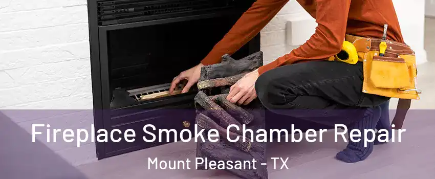  Fireplace Smoke Chamber Repair Mount Pleasant - TX
