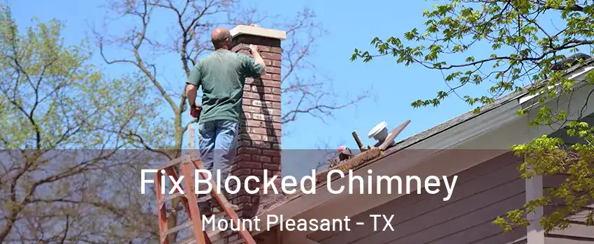  Fix Blocked Chimney Mount Pleasant - TX