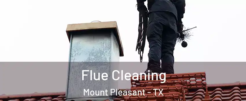  Flue Cleaning Mount Pleasant - TX
