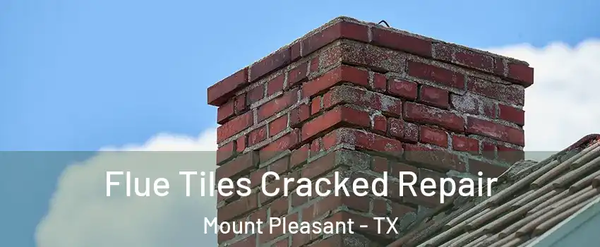  Flue Tiles Cracked Repair Mount Pleasant - TX