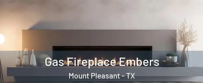  Gas Fireplace Embers Mount Pleasant - TX