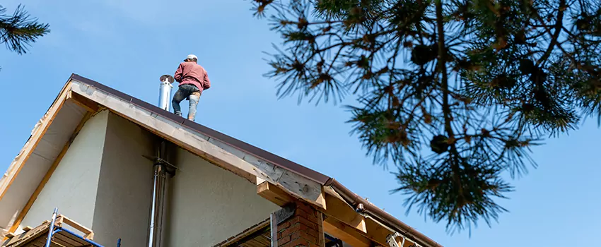 Birds Removal Contractors from Chimney in Mount Pleasant, TX