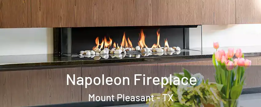  Napoleon Fireplace Mount Pleasant - TX