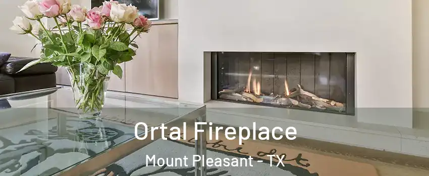 Ortal Fireplace Mount Pleasant - TX